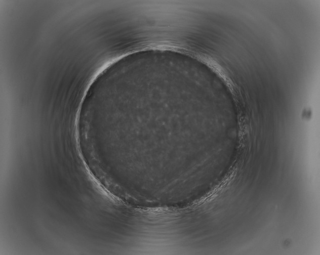 X0000097911032200803281358