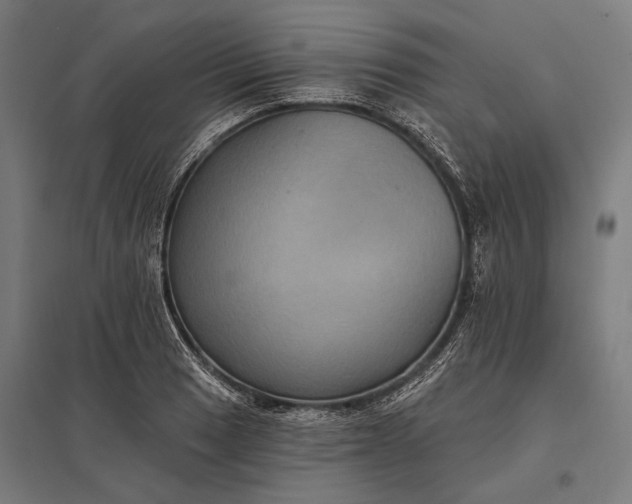 X0000097911033200803281358