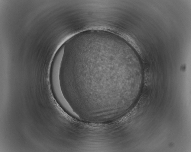 X0000097911036200803281358