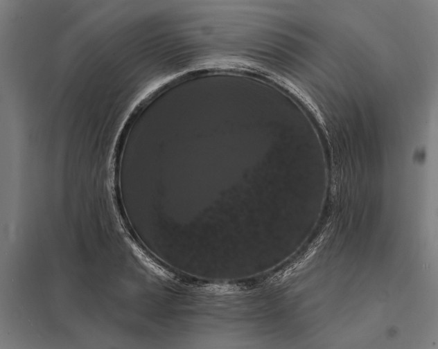 X0000097911037200803281358