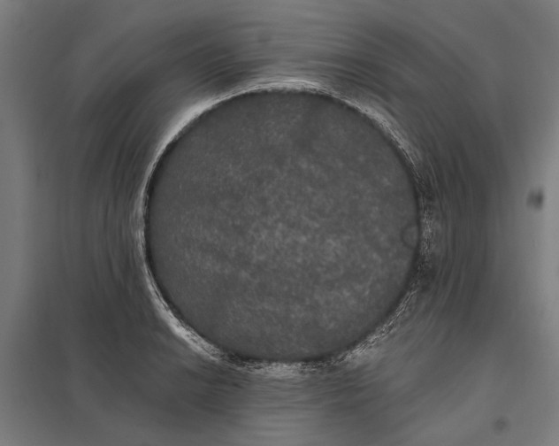 X0000097911038200803281358