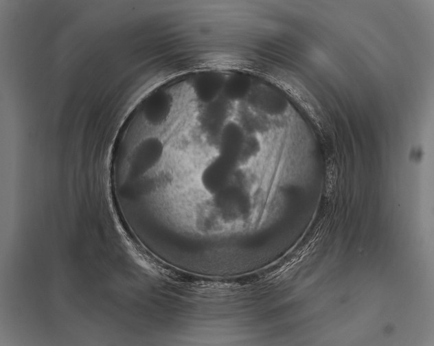 X0000097911039200803281358