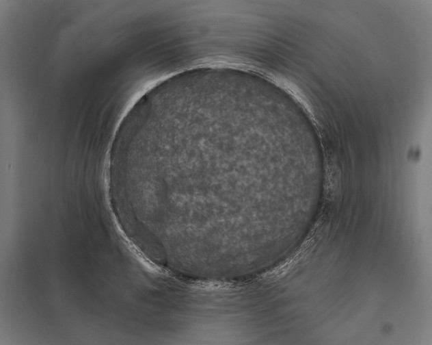 X0000097911040200803281358