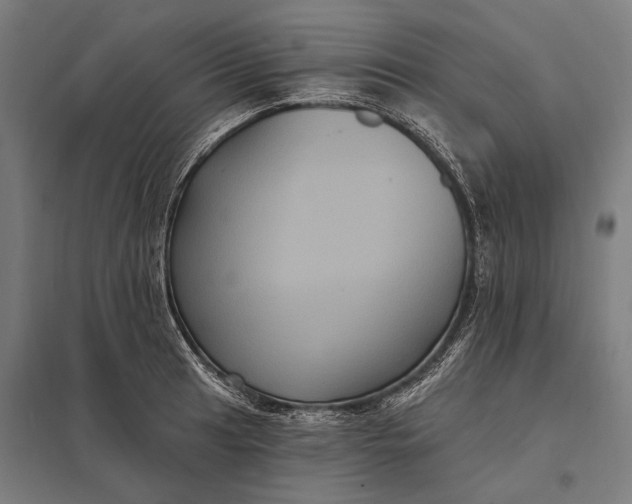 X0000097911041200803281358