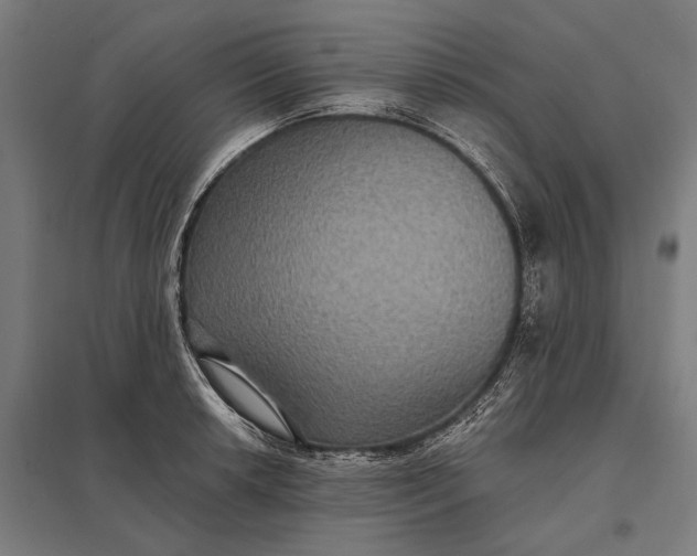 X0000097911042200803281358