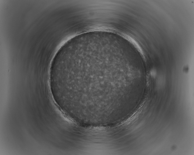 X0000097911043200803281358