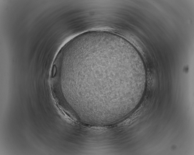 X0000097911044200803281358