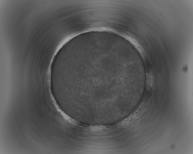 X0000097911046200803281358