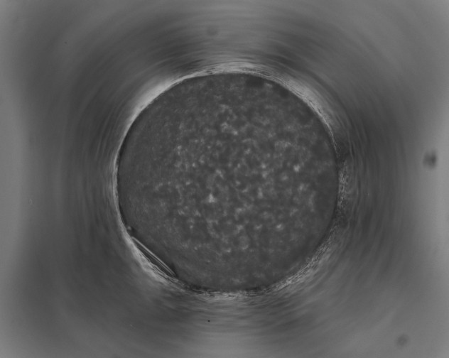 X0000097911047200803281358