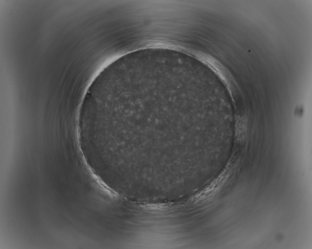 X0000097911048200803281358