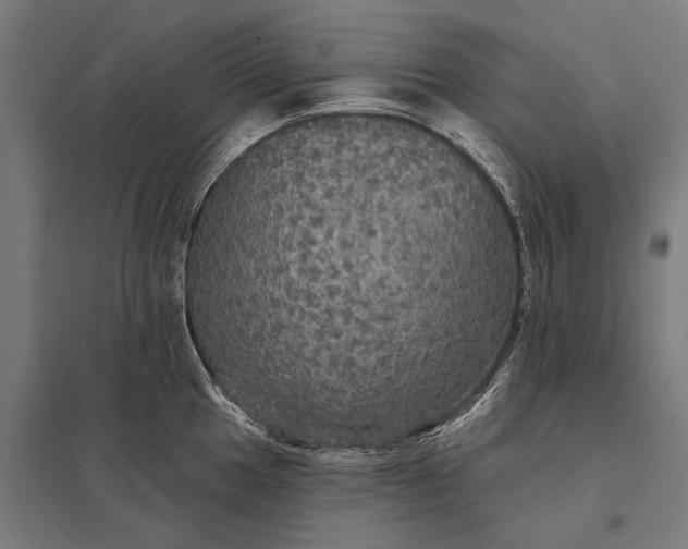 X0000097911049200803281358