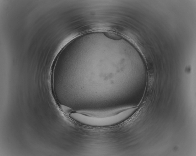 X0000097911050200803281358