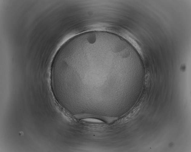 X0000097911051200803281358