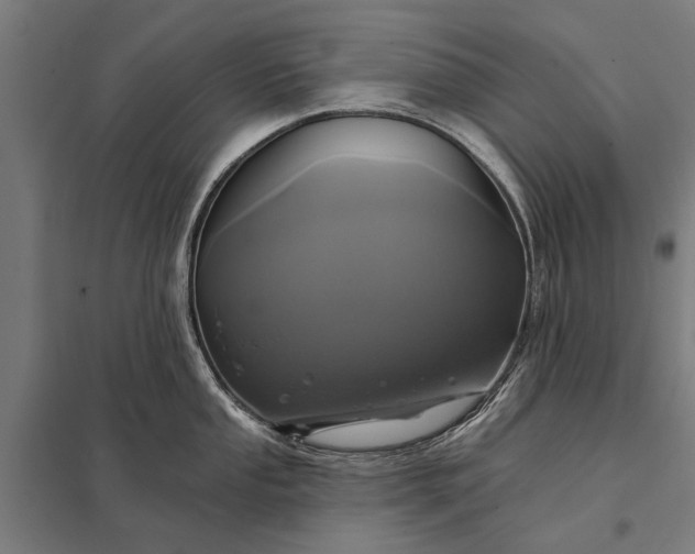 X0000097911053200803281358