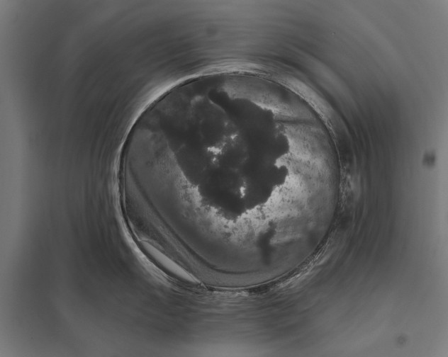 X0000097911055200803281358