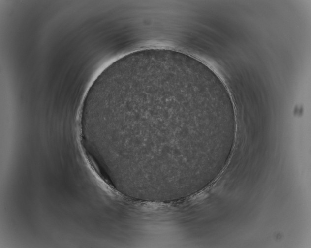 X0000097911056200803281358