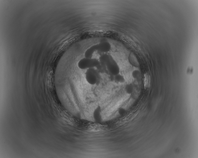 X0000097911059200803281357