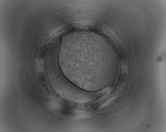 X0000097911060200803281357