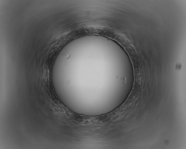 X0000097911061200803281357