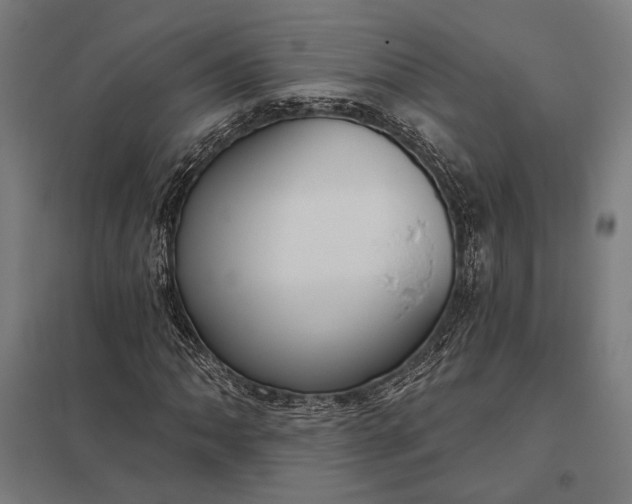 X0000097911062200803281357