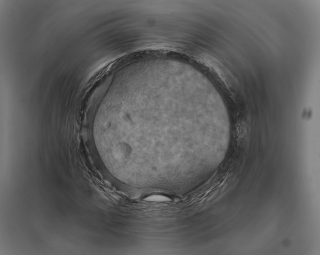 X0000097911064200803281357