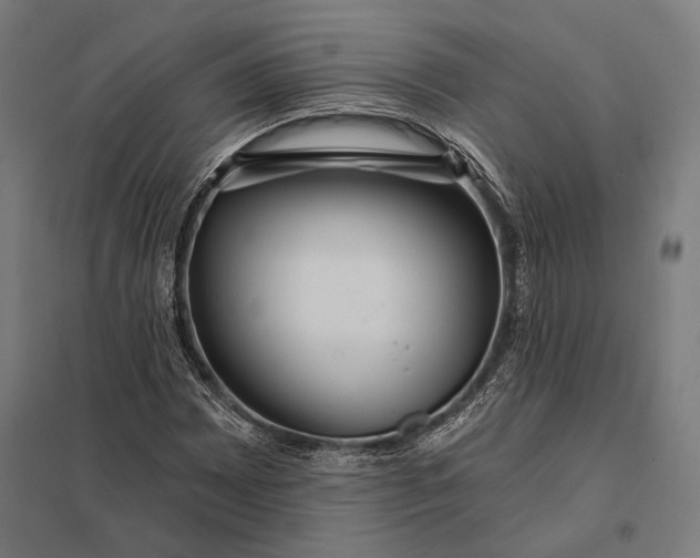 X0000097911065200803281357