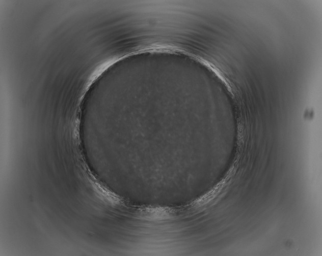 X0000097911066200803281357