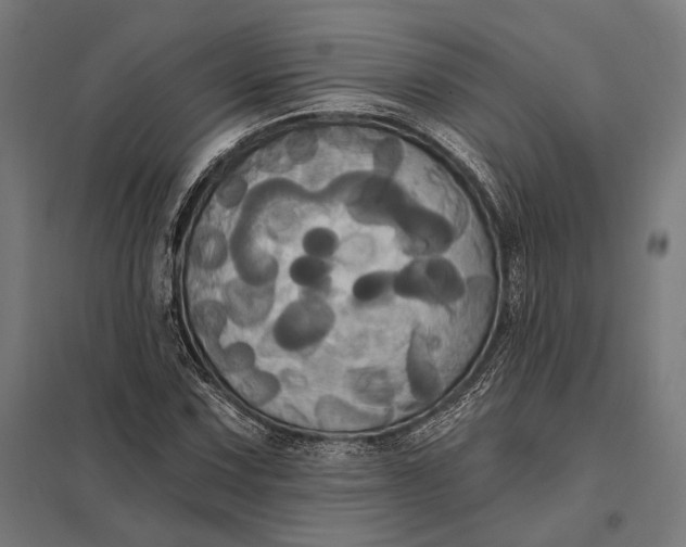 X0000097911067200803281357