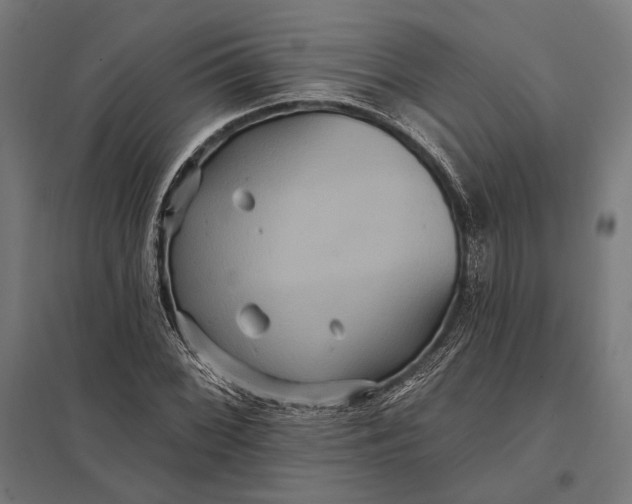 X0000097911068200803281357