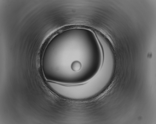 X0000097911069200803281357