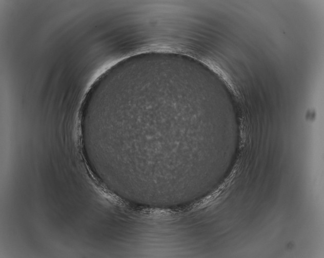 X0000097911070200803281357