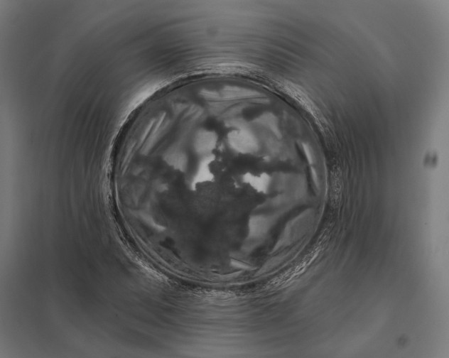 X0000097911071200803281357