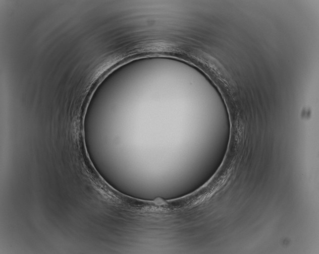 X0000097911073200803281357