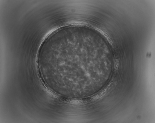 X0000097911074200803281357