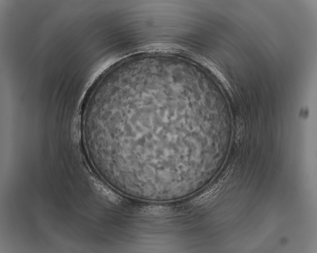 X0000097911075200803281357