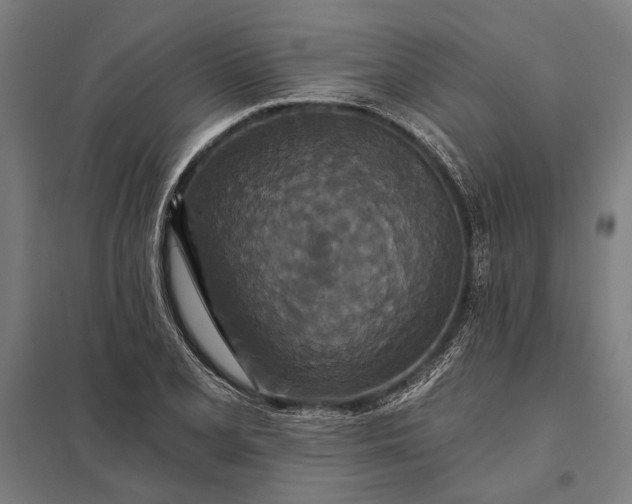 X0000097911077200803281357