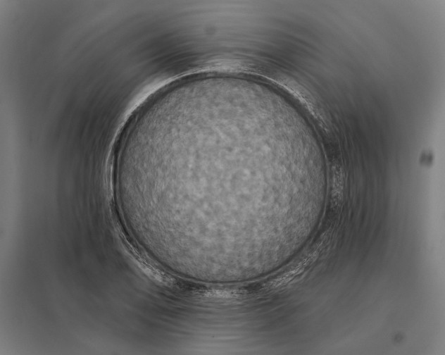 X0000097911078200803281357