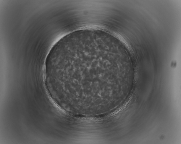 X0000097911079200803281357