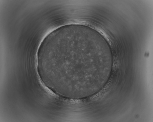 X0000097911080200803281357