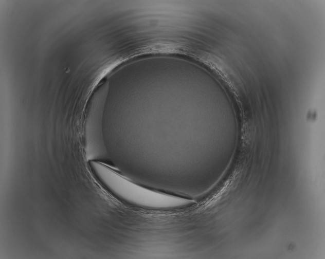 X0000097911081200803281357