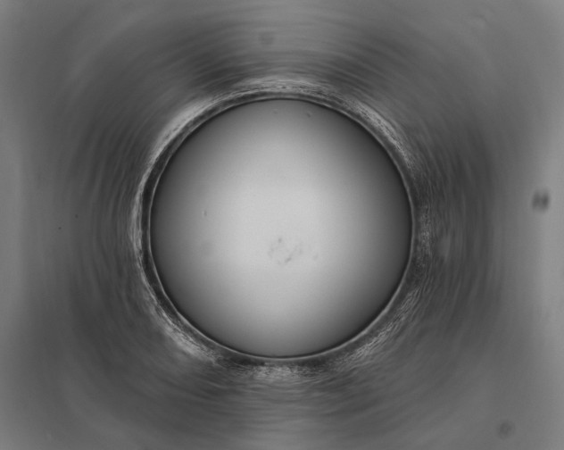 X0000097911082200803281357