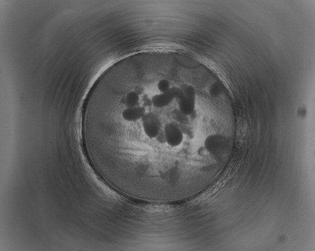 X0000097911083200803281357