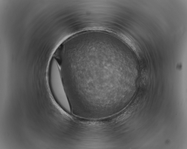 X0000097911084200803281357