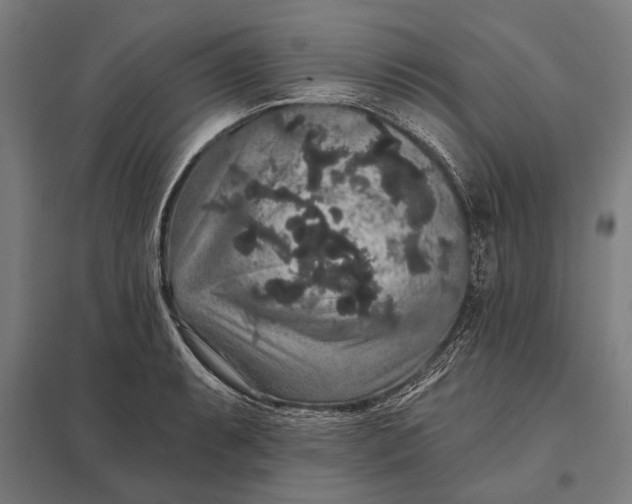 X0000097911087200803281357