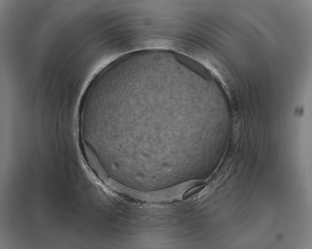 X0000097911088200803281357