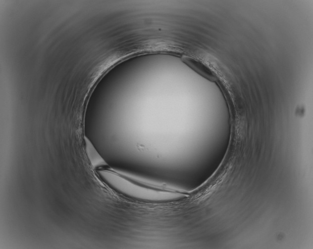 X0000097911089200803281357