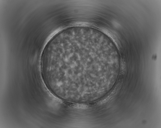 X0000097911090200803281357