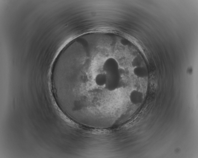 X0000097911091200803281357