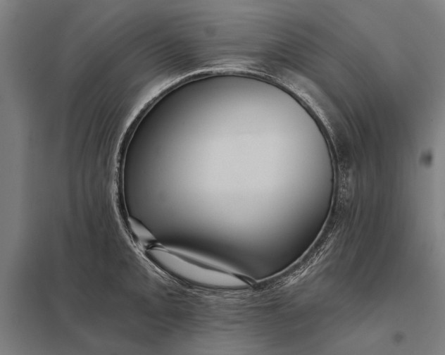 X0000097911093200803281357