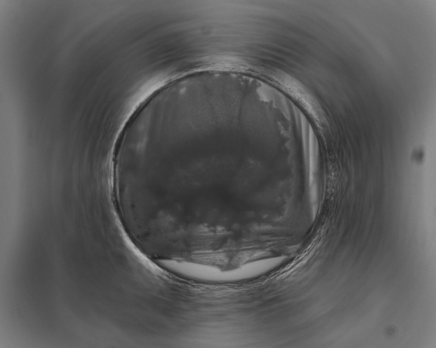 X0000097911095200803281357